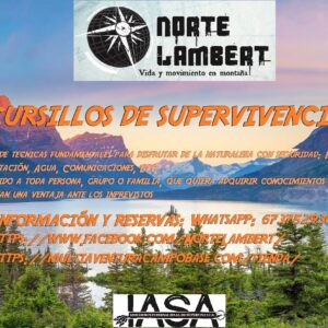 Cursillos de supervivencia