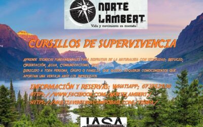 Cursillos de supervivencia