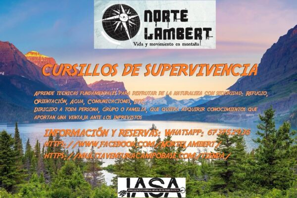 Cursillos de supervivencia