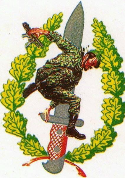 Nuevas actividades - Imagen 10